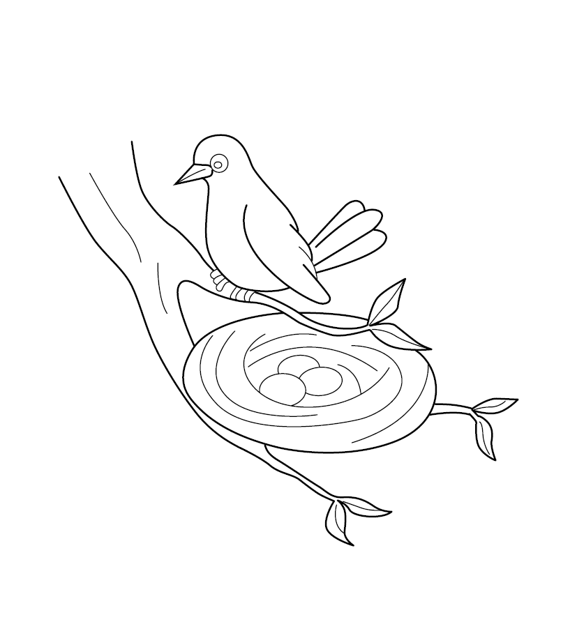 Bird Nest Colouring Image