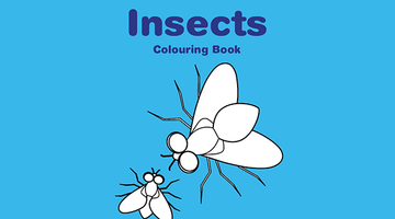 Free Printable Insects Colouring Book