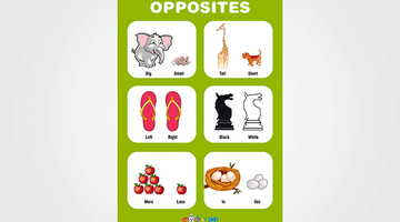 Opposite Words Chart for Kids