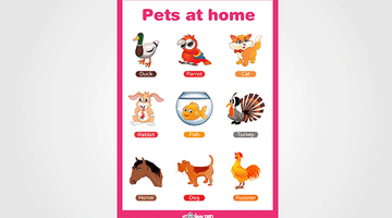 Pet Animals Chart for Kids