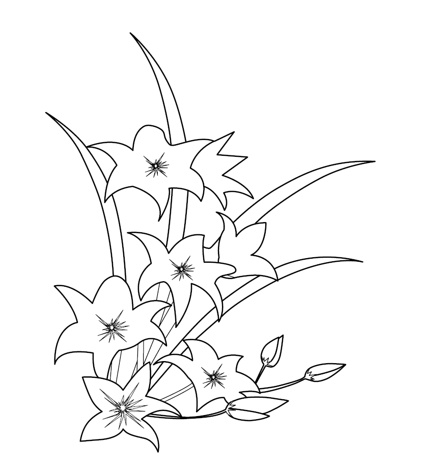 Daffodils Colouring Page