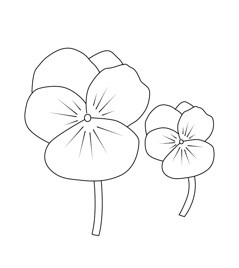 Pancy Flower Colouring Page