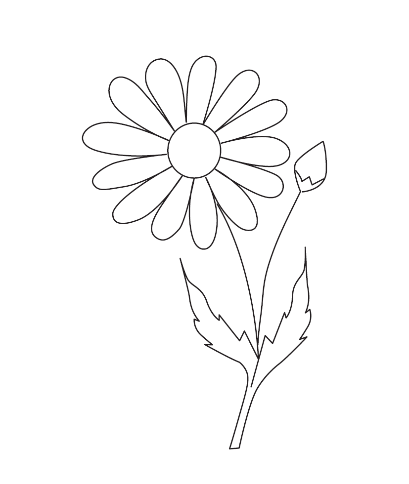 Daisy Flower Colouring Image