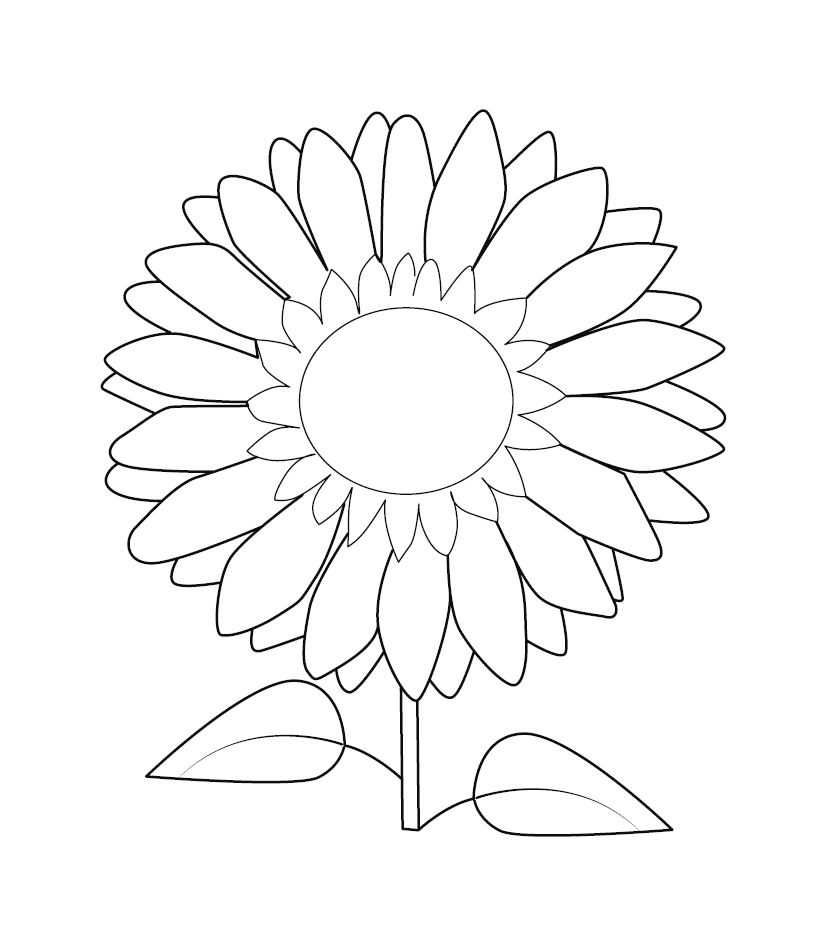 Sun Flower Colouring Page