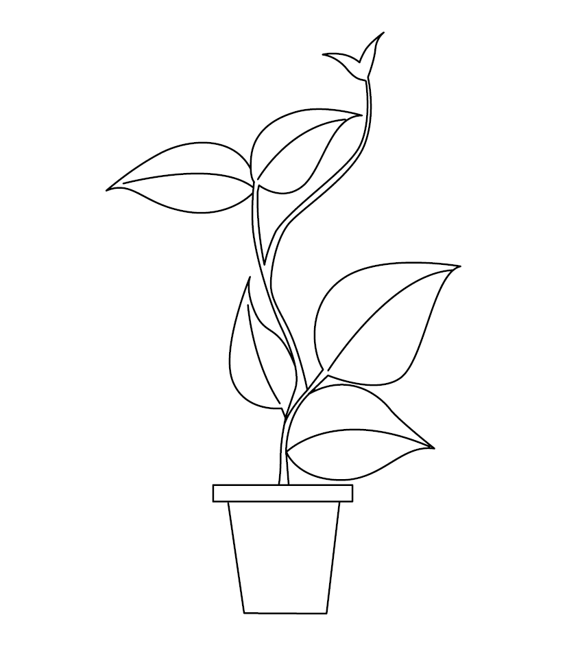 Plant Colouring Image for Kids