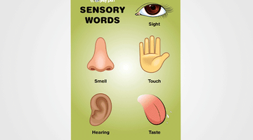 Sensory Words Chart for Kids